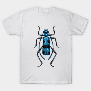 Rosalia Alpina beetle T-Shirt